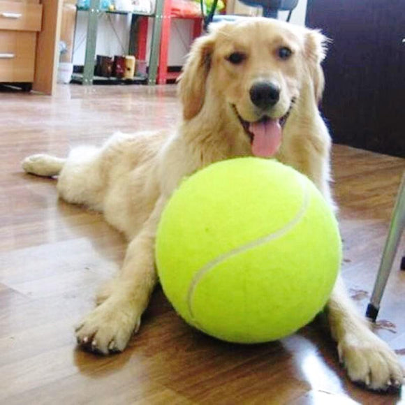 Giant Tennis Ball - 9.4 Inches