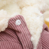 Winter Dog Jacket