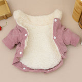 Winter Dog Jacket