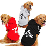 Large Hoodie Sportswear