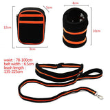 Hands Free Bungee Dog Leash with Pouch