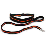 Hands Free Bungee Dog Leash with Pouch