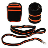 Hands Free Bungee Dog Leash with Pouch