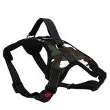 Adjustable Dog Harness